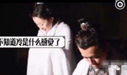 娱乐圈吃瓜鹅有匪,吃瓜鹅揭秘“有匪”背后的故事